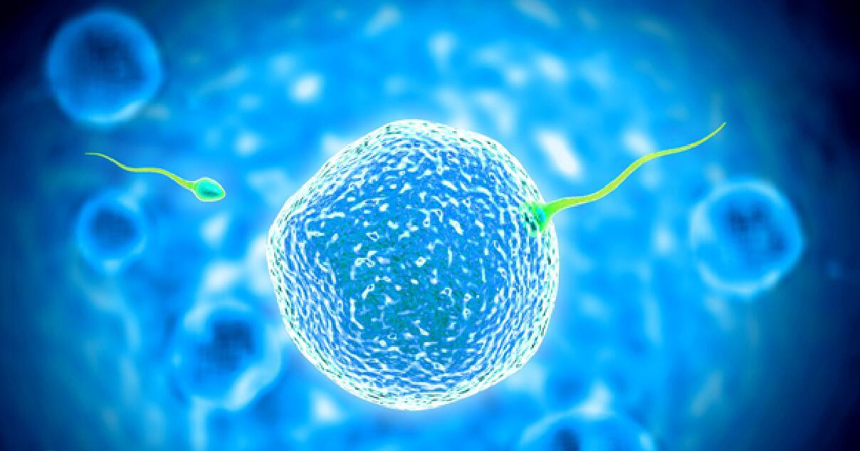 试管婴儿技术与辅助生殖